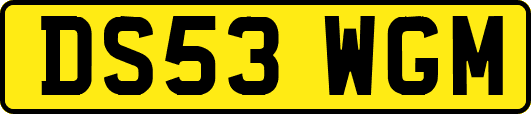 DS53WGM