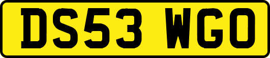 DS53WGO