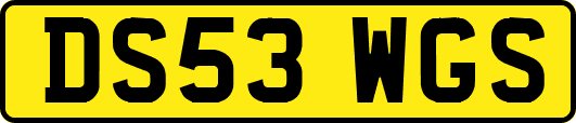DS53WGS