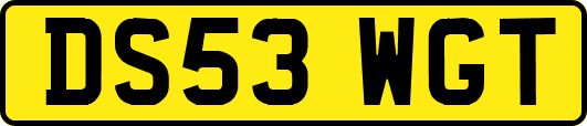 DS53WGT