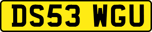 DS53WGU