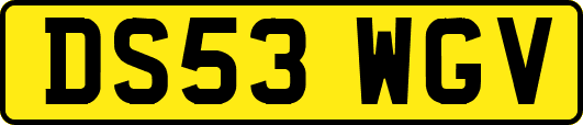 DS53WGV