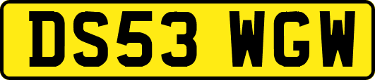 DS53WGW