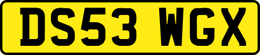 DS53WGX