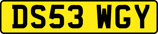 DS53WGY