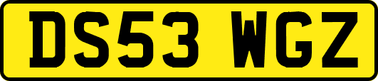 DS53WGZ