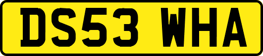 DS53WHA
