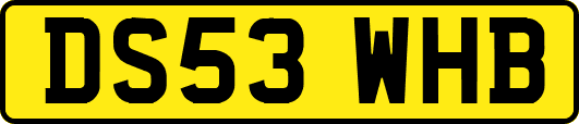 DS53WHB