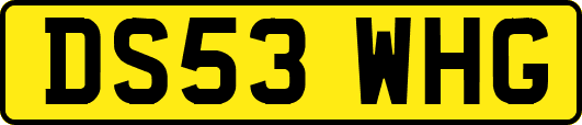 DS53WHG