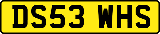 DS53WHS