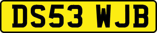 DS53WJB