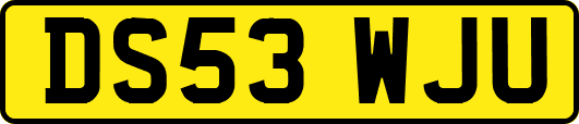 DS53WJU