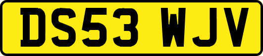 DS53WJV