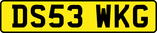 DS53WKG