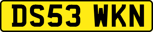 DS53WKN