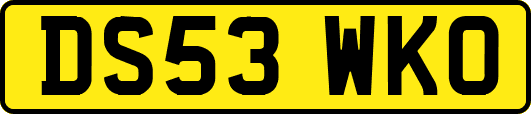 DS53WKO