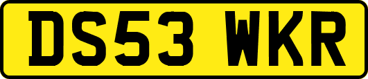 DS53WKR