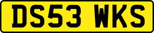 DS53WKS