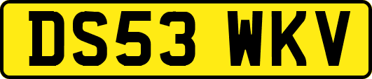 DS53WKV