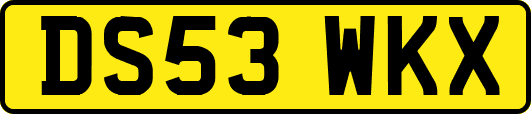 DS53WKX