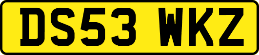 DS53WKZ