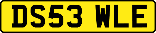 DS53WLE