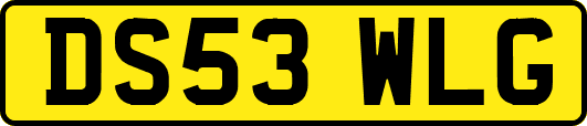 DS53WLG