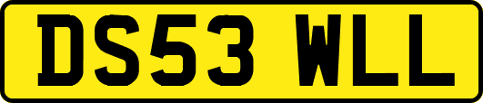 DS53WLL