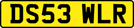 DS53WLR