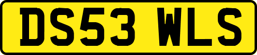 DS53WLS