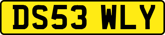 DS53WLY