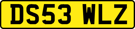 DS53WLZ