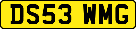DS53WMG