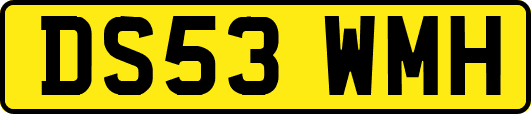 DS53WMH