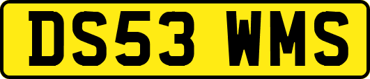 DS53WMS