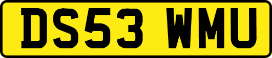 DS53WMU