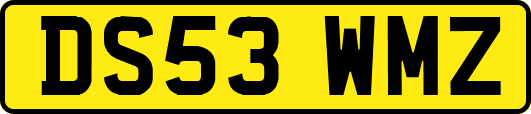 DS53WMZ