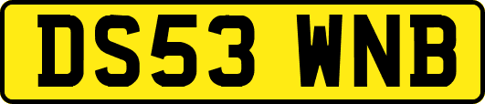 DS53WNB