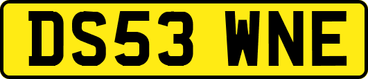 DS53WNE