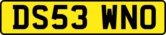 DS53WNO