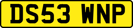 DS53WNP