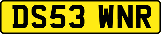 DS53WNR