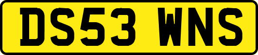 DS53WNS