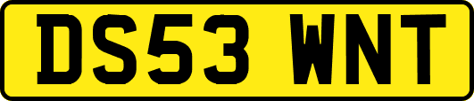 DS53WNT