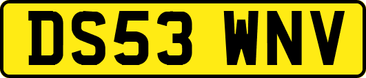 DS53WNV