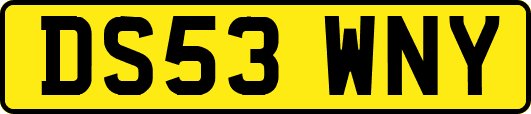 DS53WNY