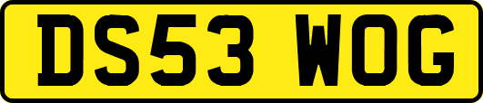 DS53WOG