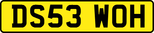 DS53WOH