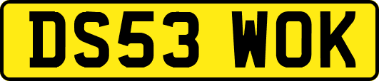 DS53WOK