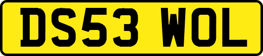 DS53WOL